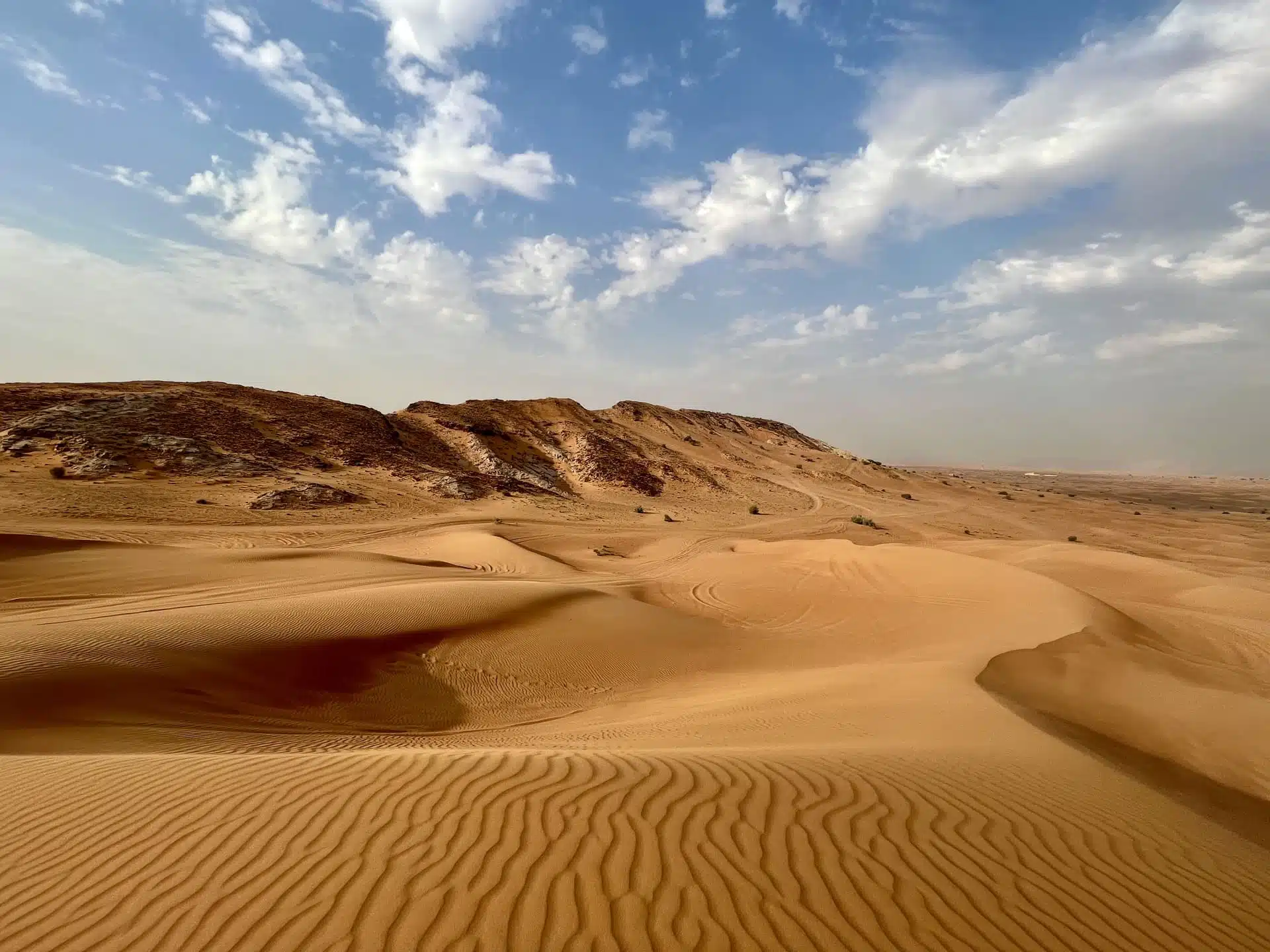 Morning Desert Safari UAE
