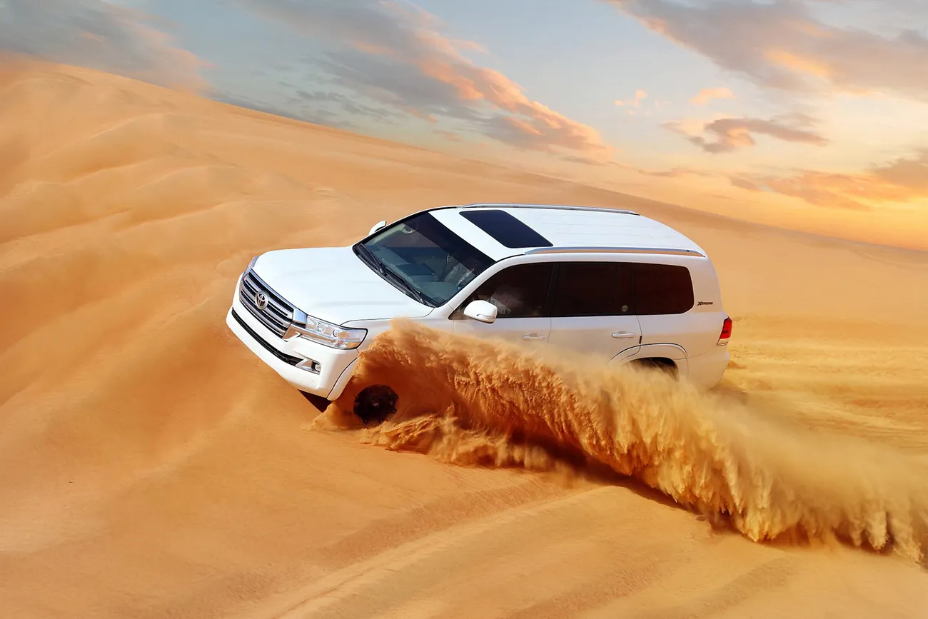 Camel UAE desert